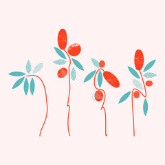 Stylized flowers in a simple style.  Vector plants for cards, prints, and designs. Botanical illustration.