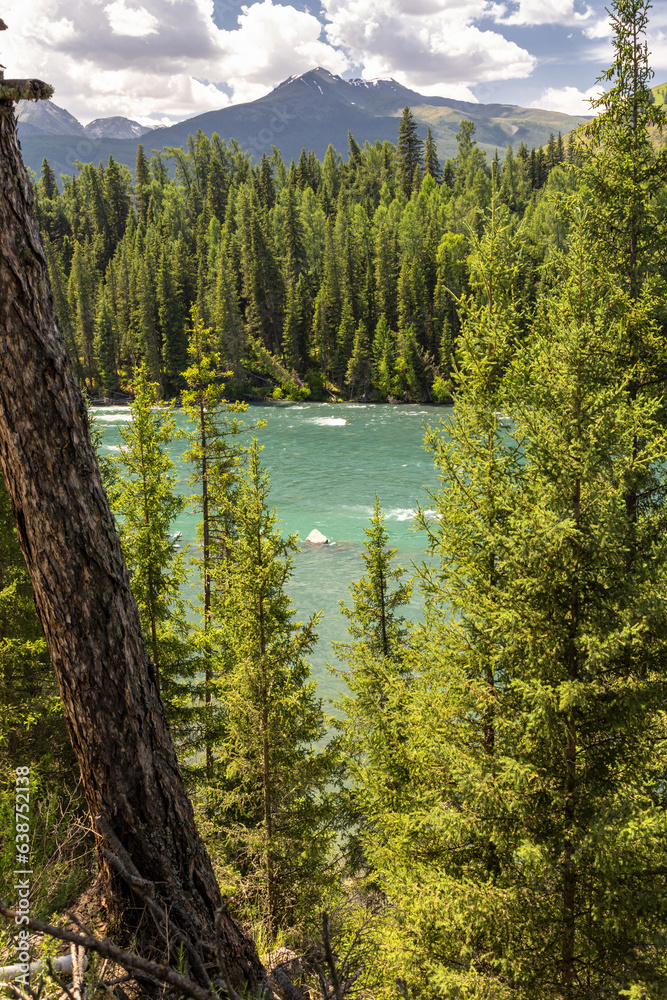 Poster Stunning scenery in Kanas, Xinjiang