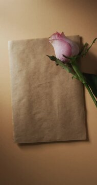 Vvertical video of pink rose and brown envelope with copy space on yellow background
