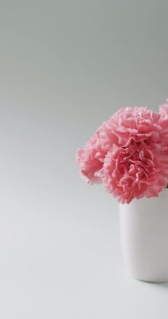 Vertical video of pink flowers in white mug with copy space on white background
