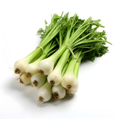 This image shows a bunch of green onions on a white background