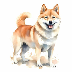 Dog illustration isolated on white background in watercolor style