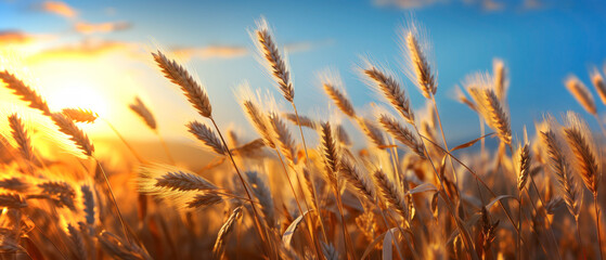 Close-up of a wheat spicas swaying in the wind at sunset. Generative AI
