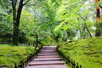 日本庭園の小道