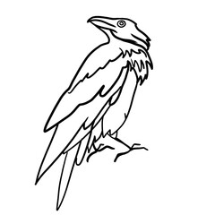 Fototapeta premium Icon of funny raven