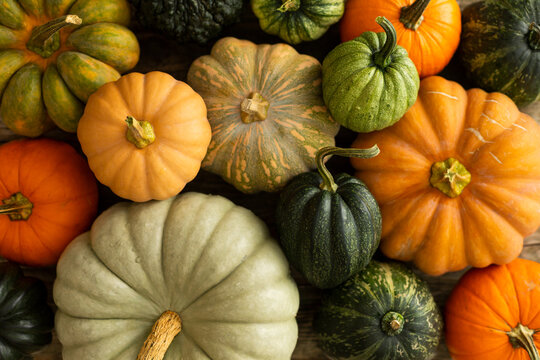 Lots of pumpkins of different sizes and colors. Autumn harvest. Top view. Selective focus.