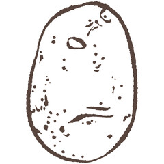 Potato hand drawn vector
