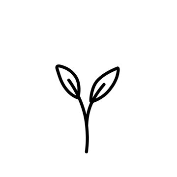 Leaf line.botanical outline.simple leaf illustration.