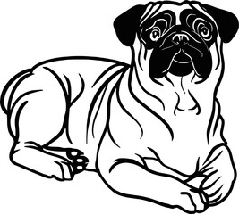 Pug dog - Lying dog vector stock isolated illustration on white background.