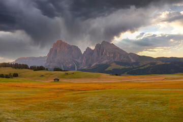 Alpe di Siusi or Seiser Alm, Dolomites Alps Sassolungo and Sassopiatto mountains, Trentino Alto Adige Sud Tyrol, Italy, Europe