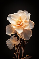 Beautiful gold camellia isolated on black background. Radiant flower with rays of light. Botanical floral vertical design