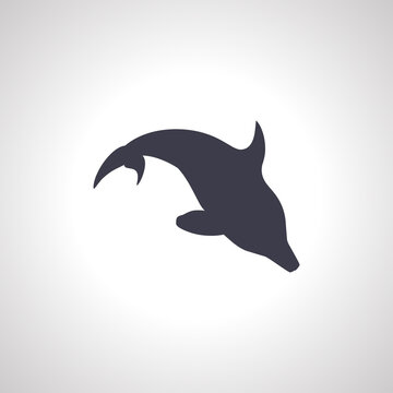 dolphin icon. dolphin isolated icon