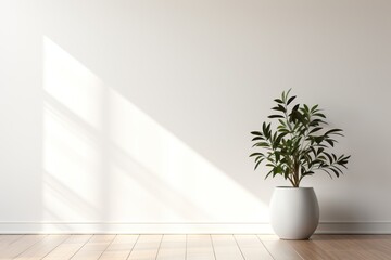 Beautiful house plant in the pot on wooden floor set beside the wall with sunbeam and shadow on white empty wall. Background, mockup backdrop. Green houseplant decoration. Products overlay