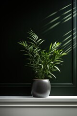 Beautiful house plant in the pot on wooden floor set beside the wall with sunbeam and shadow on dark green empty wall. Background, mockup backdrop. Green houseplant decoration. Products overlay
