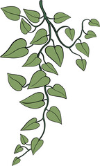 Simplicity ivy freehand drawing.