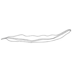 Green bean line art