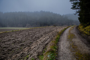 Abandoned Gravel Road Through Foggy Landscape With Forest And Agricultural Areas In Lower Austria (Waldviertel) In Austria