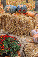 Decorative composition of the pumpkins with colorful leaves. Fall, Thanksgiving and Halloween celebration concept