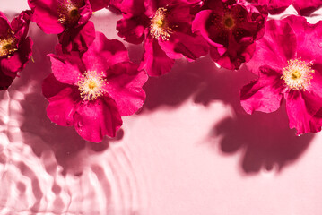 Pink water background with purple flowers