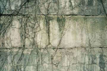 Old gray concrete wall with cracks. Background, texture.