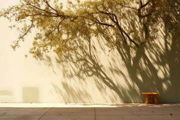 Shadows of leaves and plants on the wall and pavement, tree silhouettes.