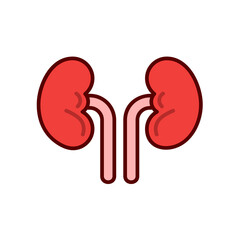Human kidneys vector icon design template elements, kidney organ image
