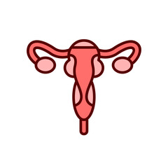 Human uterus vector icon design template elements, female uterine organ image