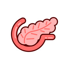 Human pancreas organ vector icon design template elements, internal organs image