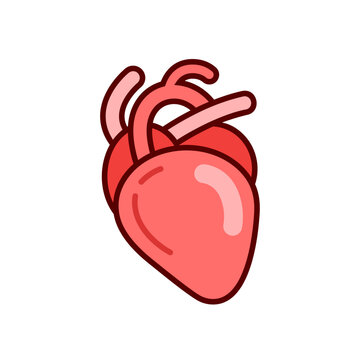 Human heart vector icon design template elements, heart organ image