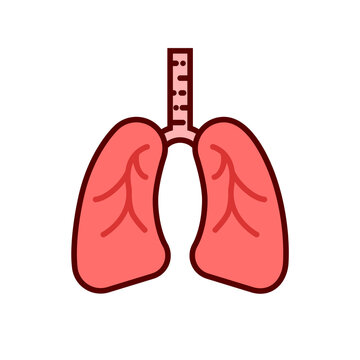 Human lungs vector icon design template elements, lung  organ image