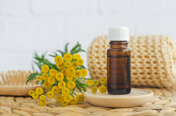 Small bottle with essential blue tansy oil and yellow tansy flowers. Aromatherapy, homemade beauty treatment and herbal medicine ingredients.