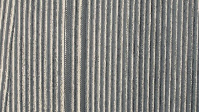 Drone flight above a cultivated Plowed Land Field in slow motion, top down view showing the parallel and converging lines in the sand with the play of the shadows. High quality 4k footage