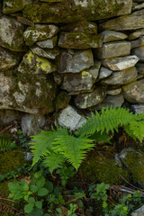 photography of textures created by nature itself, stone textures, stone walls, stone