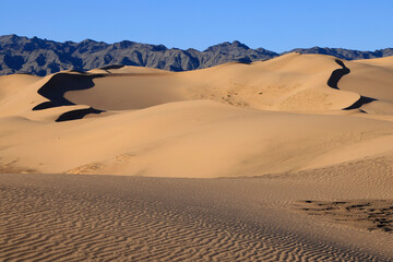 The singing dunes of Khongoryn Els in the morning, Gobi desert