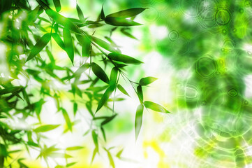 green fresh spa background with water and bamboo plant, beautiful nature scene wallpaper decoration concept with asian spirit