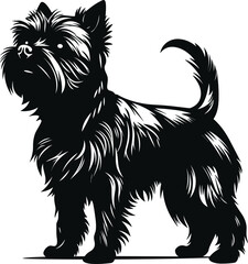 Handgezeichnete schwarz-weiße Vektor-Illustration eines Affenpinscher-Hundes in Umriss als Haustier