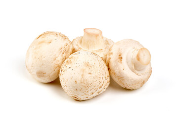 Champignons, close-up, isolated on white background.