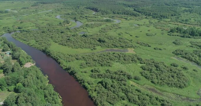 River valley, beautiful view from the height of river, swamps and green forests, background.