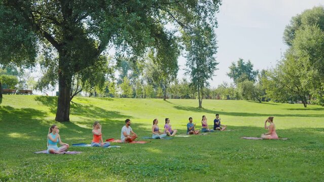 Female instructor explaining nasal breathing technique to practitioners in sunny summer park. Yoga group practicing alternate nostril exercise together in Lotus pose. Concept healthy lifestyle