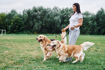 Walking, side view. Woman with beautiful dogs are in the field outdoors