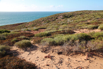 indian ocean littoral in kalbarri in australia