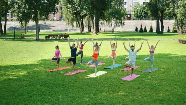 Diverse group of people practicing tree pose in city park. Yoga practitioners balancing on one leg, with hands in namaste. Outdoor sports activities in the fresh air. Health and wellness concept