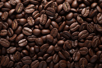 Textured background of coffee beans