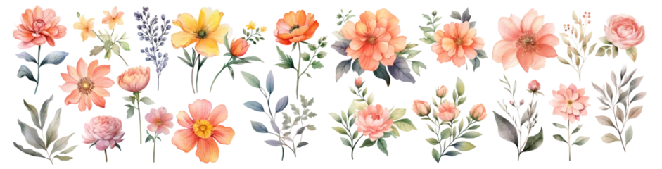 Foto auf Alu-Dibond Watercolor blush floral clipart , Watercolor collection of hand drawn flowers , Botanical plant illustration transparent background, PNG ,Generative AI   © HappyTime 17