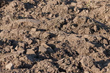 he freshly tilled fields of the farmers