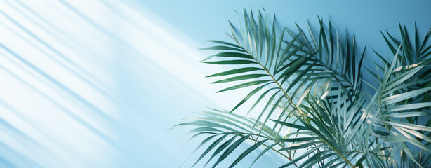 Fototapeta na wymiar palm leaves on the background of a blue wall illuminated by the rays of the sun, legal AI