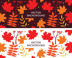 Set of vector drawings of autumn leaves. Banner template, autumn theme. Design elements.