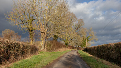 Fototapeta premium Malvern hills in the Summertime.