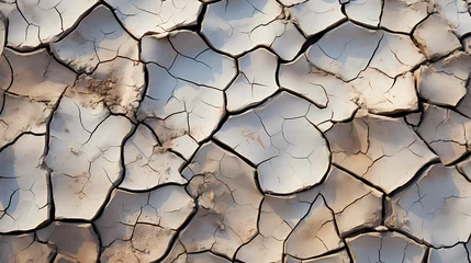 Fotobehang a dry and cracked landscape during a severe drought © Asep