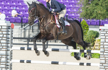 1-30-21 Ocala, Florida. Equestrian Sports, Horse jumping Show free event competition Horse Riding...
